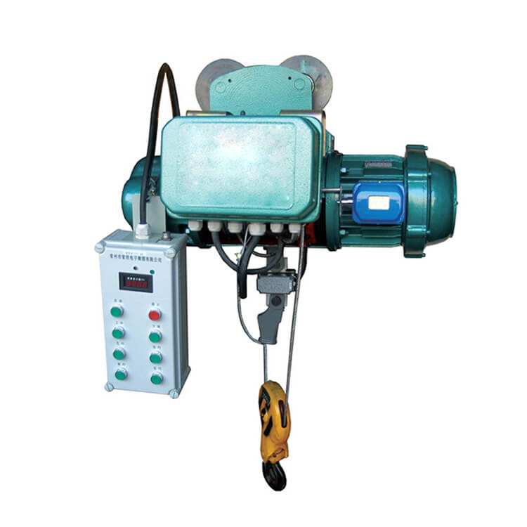 Wire Rope Electric Hoist