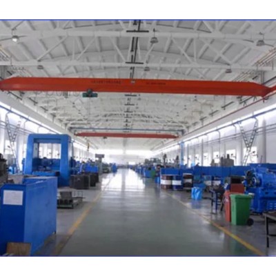 Factory Direct Supplied 15ton Ld Model Lowhead Room Top Running Bridge Crane