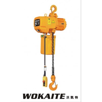 2 Ton Top Quality and Factory Price Electric Lifting Chain Hoist with Hook