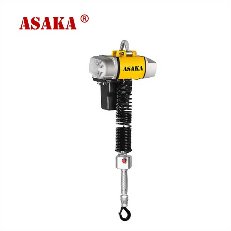 1 Ton Hoist Lifting Equipment Industrial Micro Electric Hoist for Germany