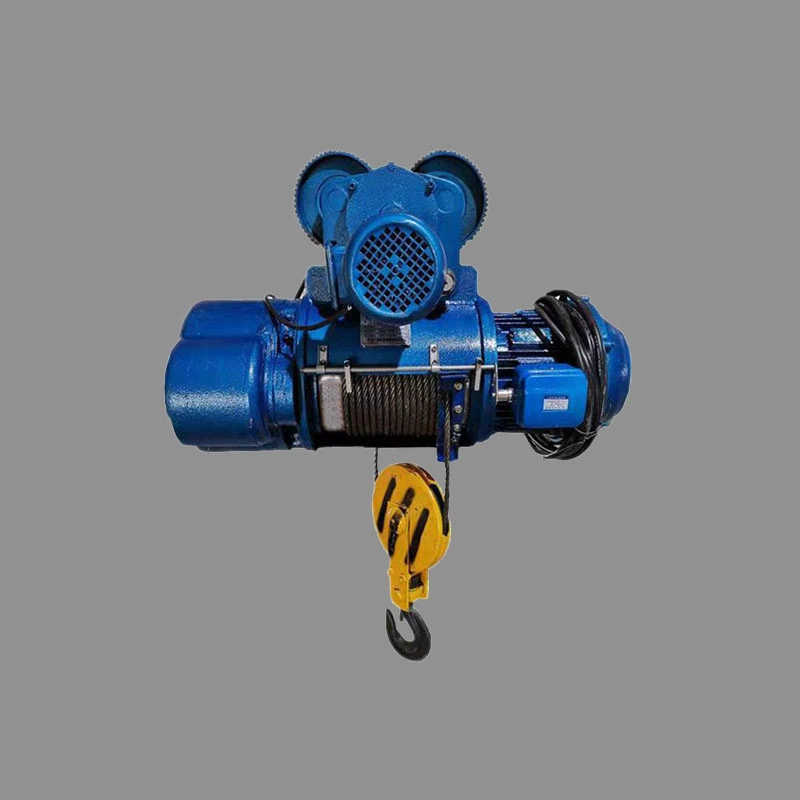 10 Ton Electric Wire Rope Hoist for Sale