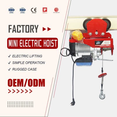 China Factory Electrical Motor Lifting Chain Hoist