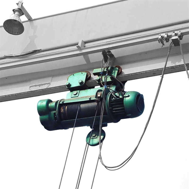 Remote Control Type Fixed Wire Rope Electric Hoist for Sale