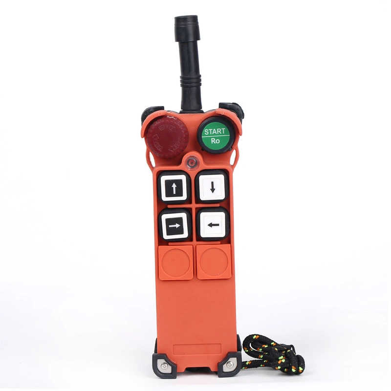 F21-4s Telecrane Radio Remote Controller sale to Germany