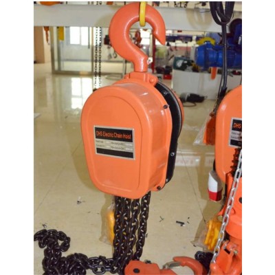 Portable Lifting Dhs Electric Chain Hoist 10 Ton sale to Sri Lanka