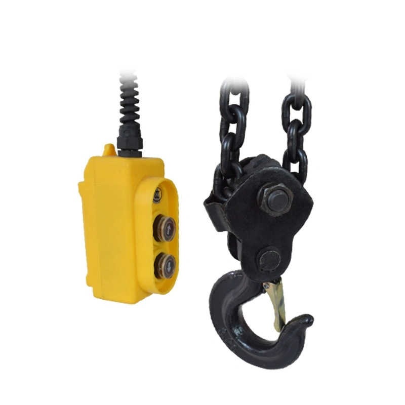 Portable Lifting Dhs Electric Chain Hoist 10 Ton sale to Sri Lanka