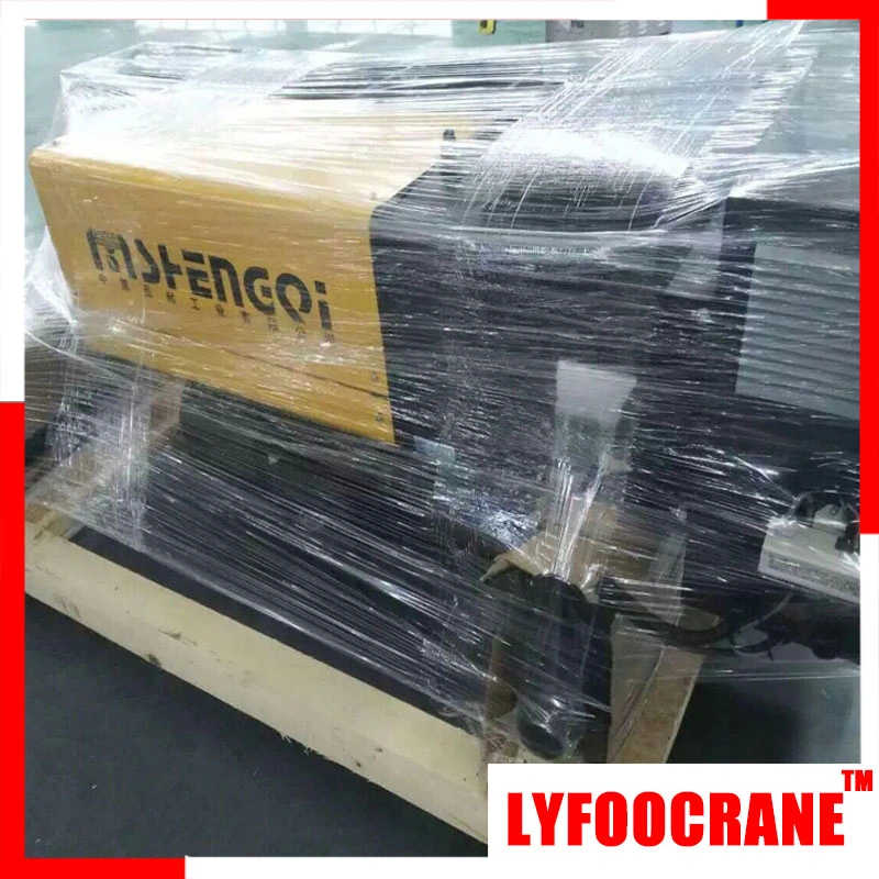 LYFOOCRANE EU Model Wire Rope Hoist (0.5t-20t) sale to Argentina