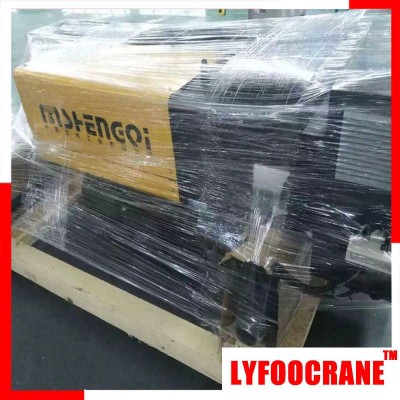 LYFOOCRANE EU Model Wire Rope Hoist (0.5t-20t) sale to Argentina