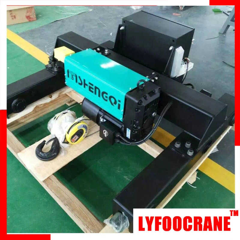 LYFOOCRANE EU Model Wire Rope Hoist (0.5t-20t) sale to Argentina