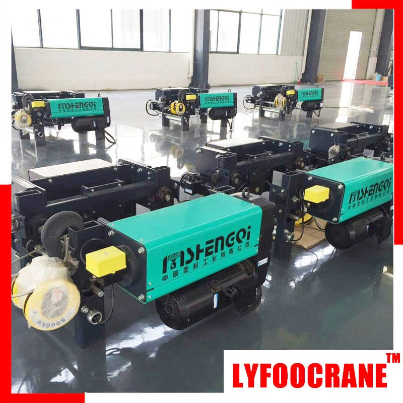 LYFOOCRANE EU Model Wire Rope Hoist (0.5t-20t) sale to Argentina