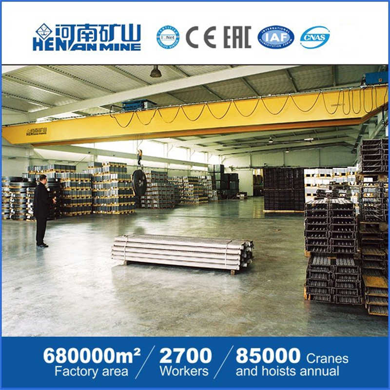 European Type Double Girders Electric Overhead Traveling Crane sale Bangladesh