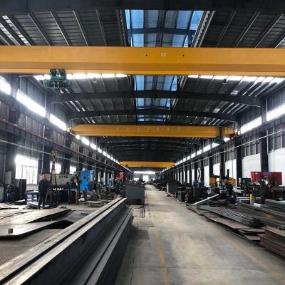 New Design Single Girder Electric Overhead Crane Price 5 Ton used in foundries