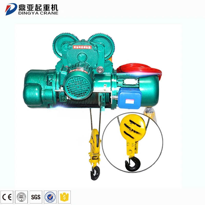 Dy High Quality Electric Hoist Wireless 500kg 1ton 3ton sale to Myanmar