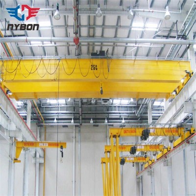 Double Girder Electric Running Overhead Crane used in food processing factory