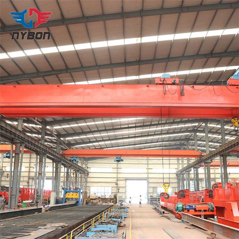 Electric Double Hook and Girder Overhead Crane used in power plant