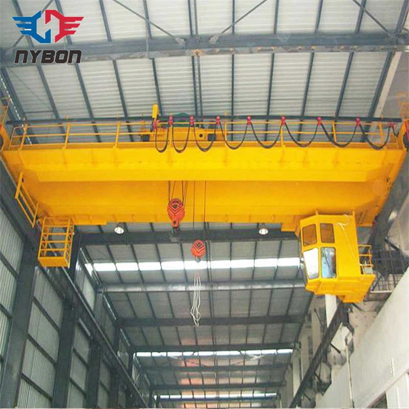 Customizable Double Girder Traveling Overhead Crane sale to Netherlands