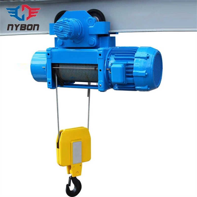 10ton Electric Wire Rope Hoist for Gantry Crane/Overhead Crane sale France