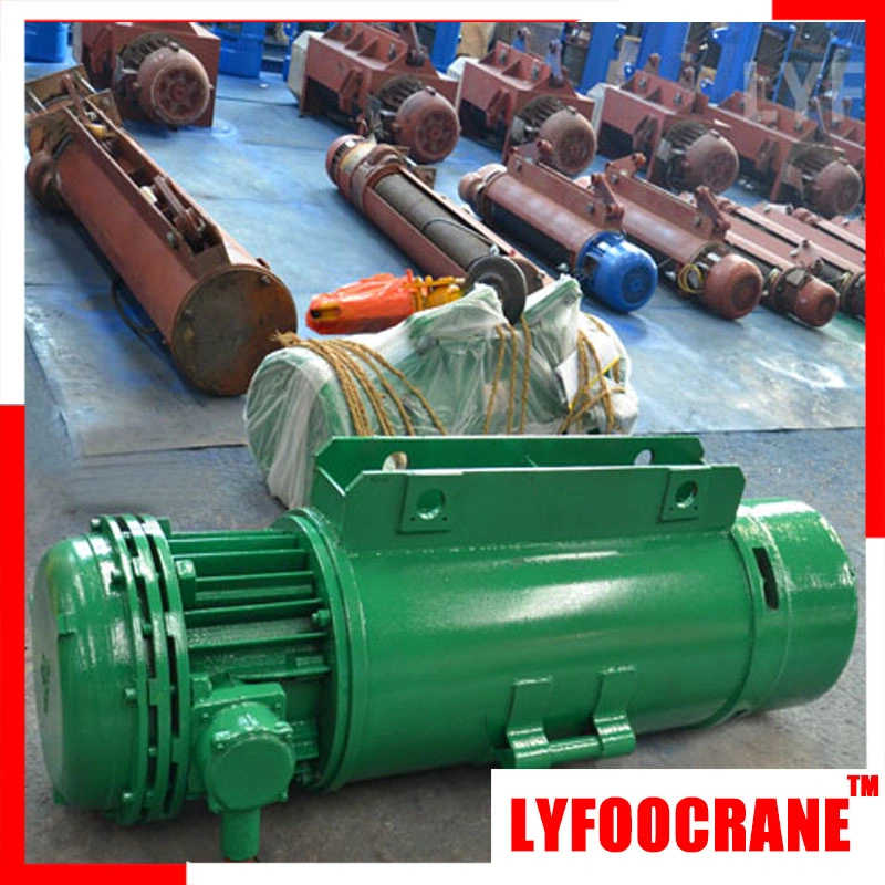 Explosion Proof Electric Wire Rope Hoist/Crane Hoist 3t sale to Pakistan