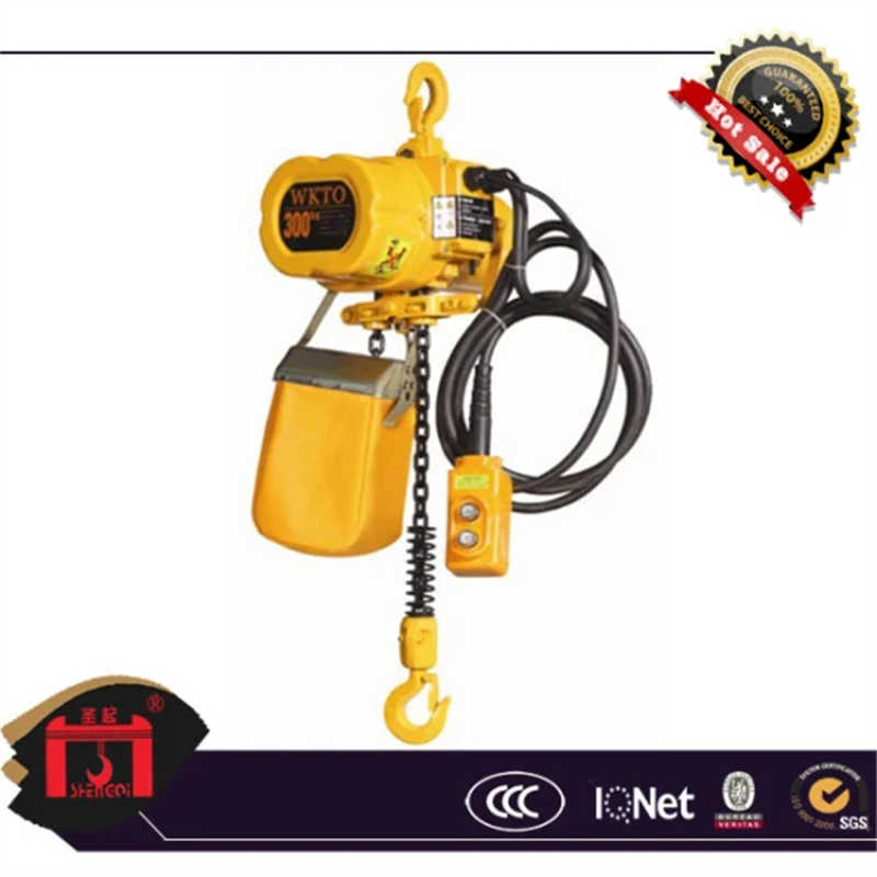 Electric Chain Hoist/Crane Lifting Tool/300kg (HHBD) sale to Vietnam