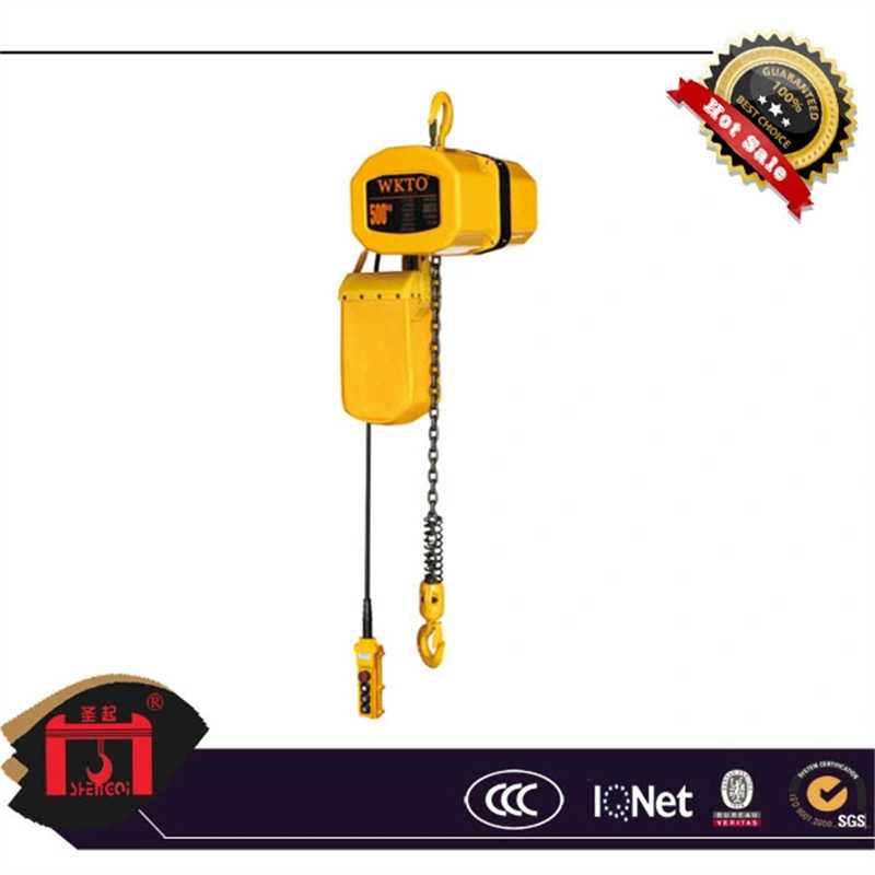 Electric Chain Hoist/Crane Lifting Tool/300kg (HHBD) sale to Vietnam