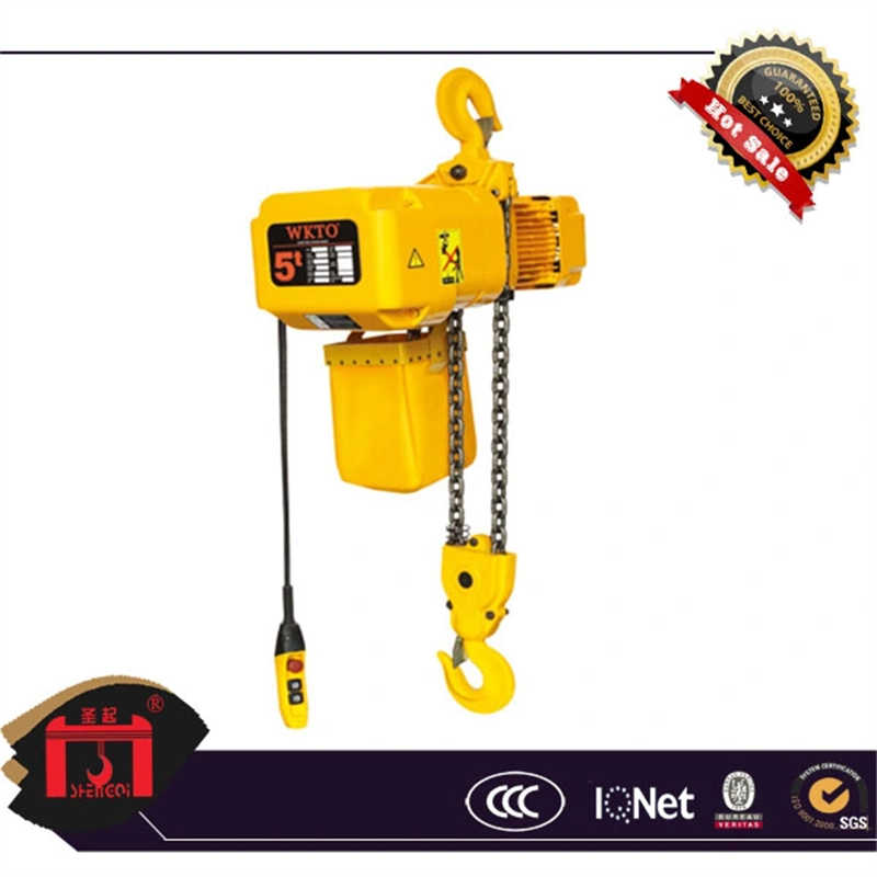 Electric Chain Hoist/Crane Lifting Tool/300kg (HHBD) sale to Vietnam