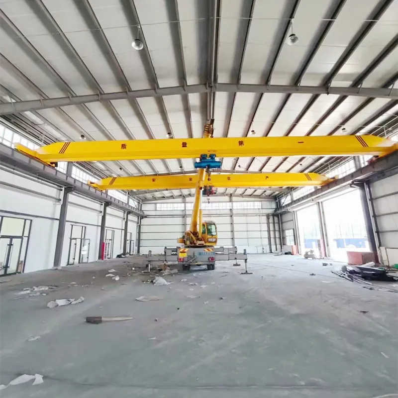 Ld Model Single Girder Crane 1t 2t 5t 16t 20t Eot Crane for Sale storage yards