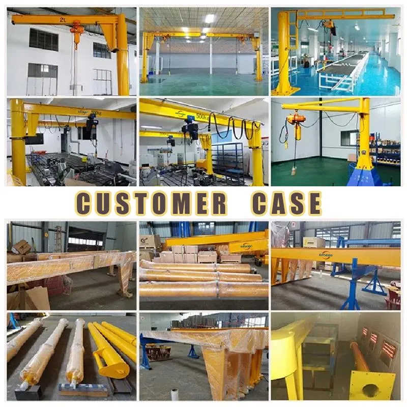 Floor-Standing Fixed Column Vacuum Lifting Jib Crane for Used for Laser Machine