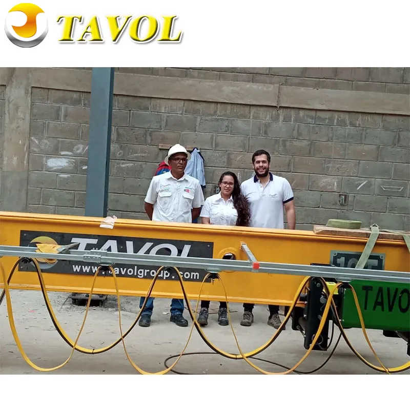 Tavol Crane with Perfect After-Sales Service 16t Single Bridge Crane Euro