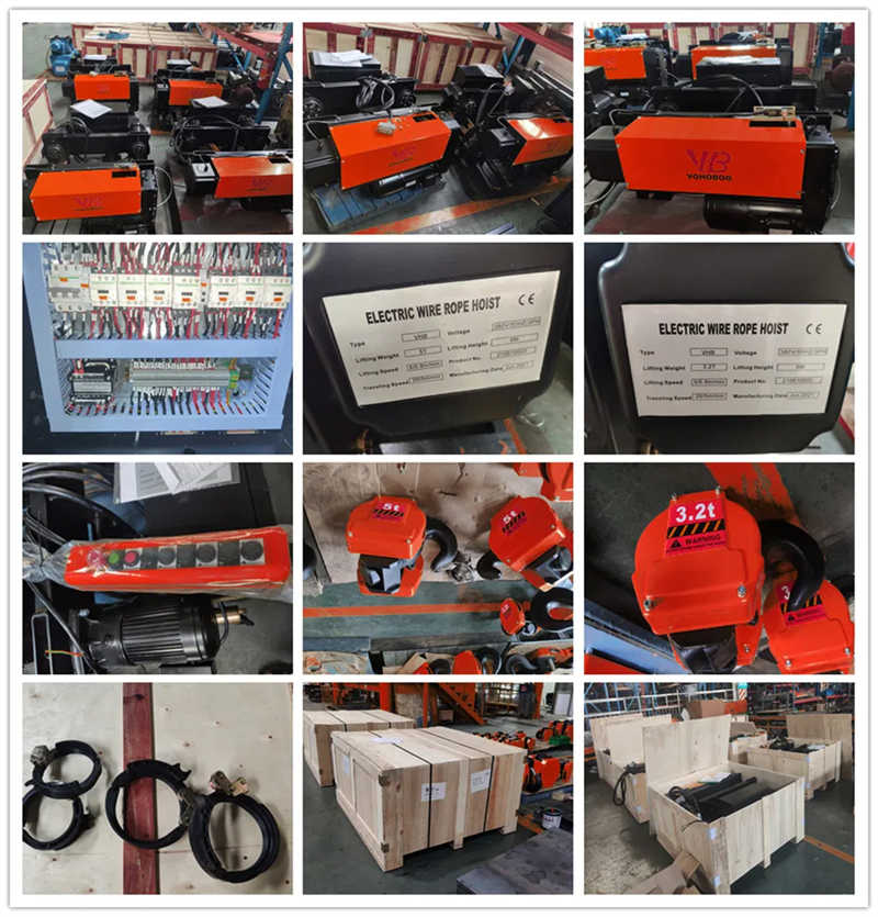 European Electric Wire Rope Hoist Factoty Direct sale