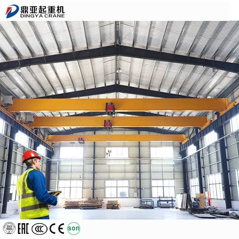 Dy Heavy Duty 500kg 1000kg 1500kg Electric Double Girder Bridge Crane Price