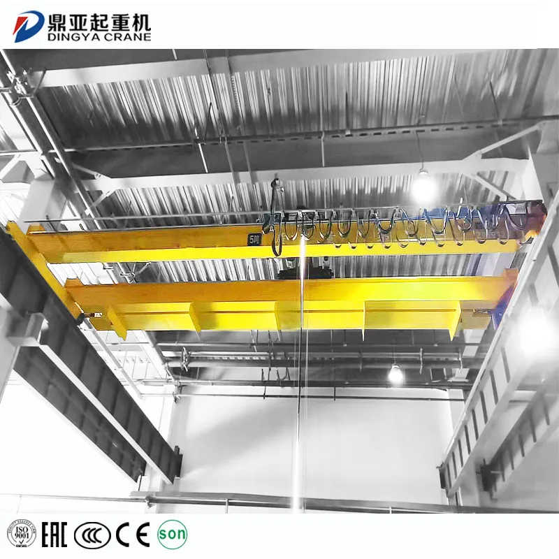 Dy Customized 3ton 6m Double Girder European Wire Rope Hoist Bridge Crane