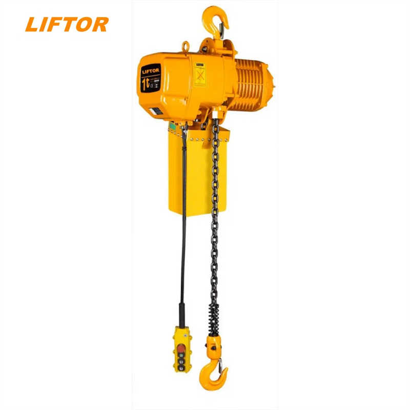 Wholesale Portable 3m 1 Ton Electric Chain Hoist with 110V