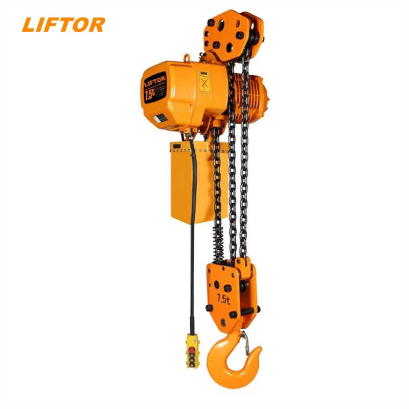 Wholesale Portable 3m 1 Ton Electric Chain Hoist with 110V