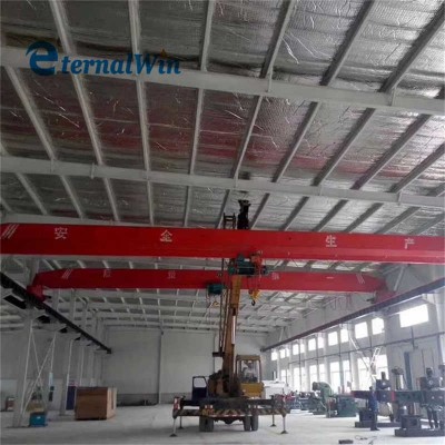 Good Sellingl Price Electric Single Girder Lifting Overhead Crane