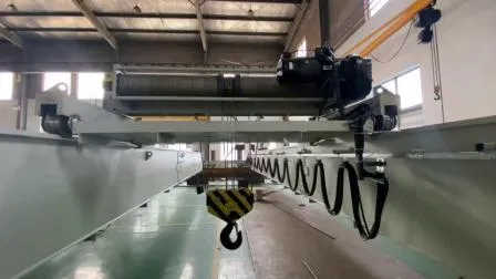 Wire Rope Hoist as Lifting Mechanism Double Girder Overhead Crane