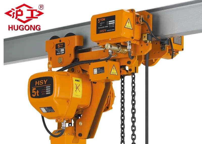 Electric hoist and manual chain hoist