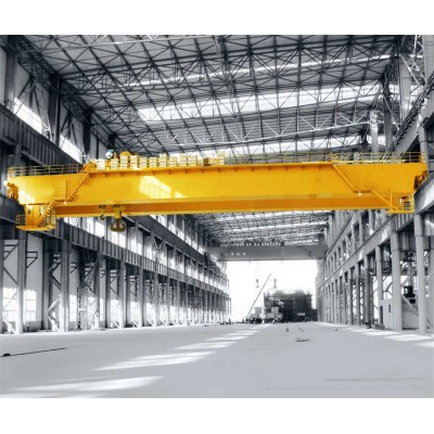 Fem Europe Style Electric Double Girder Overhead Crane