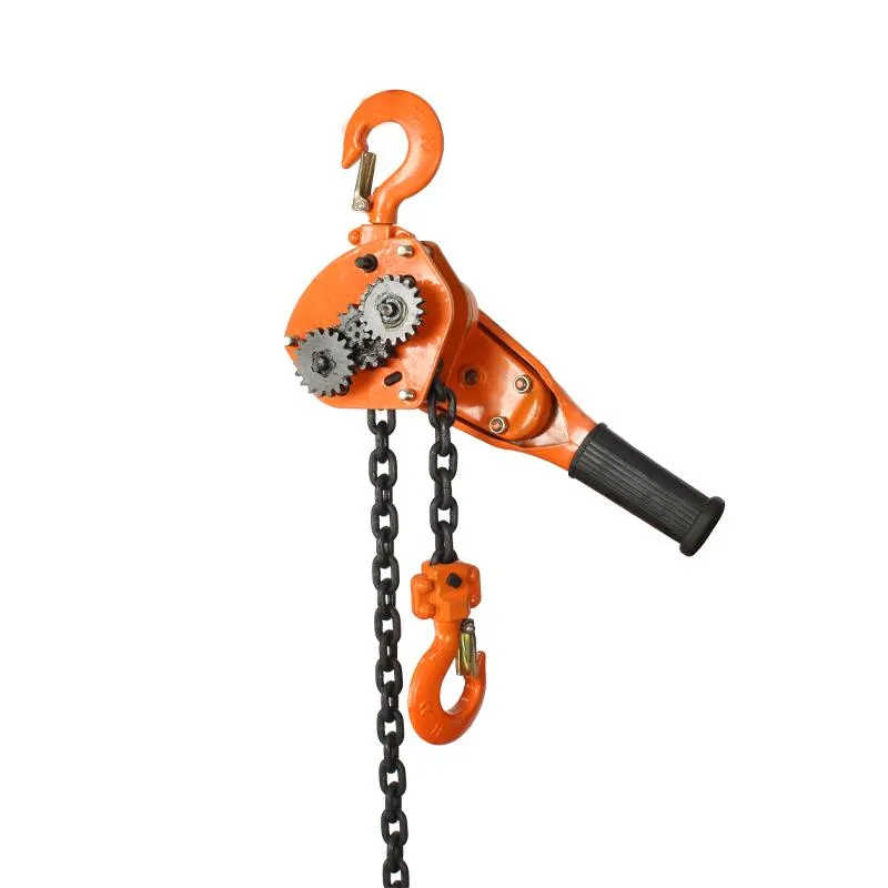 Manual Hand 3tons Chain Block Hsh-Vt Series Newest Chain Hoist Lever Block