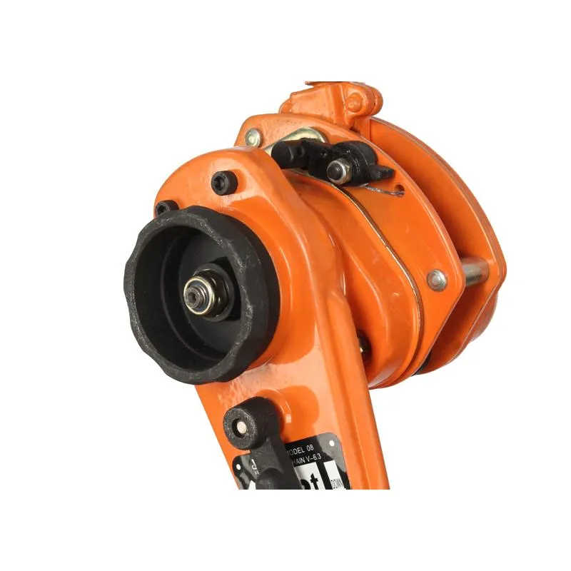 Manual Hand 3tons Chain Block Hsh-Vt Series Newest Chain Hoist Lever Block