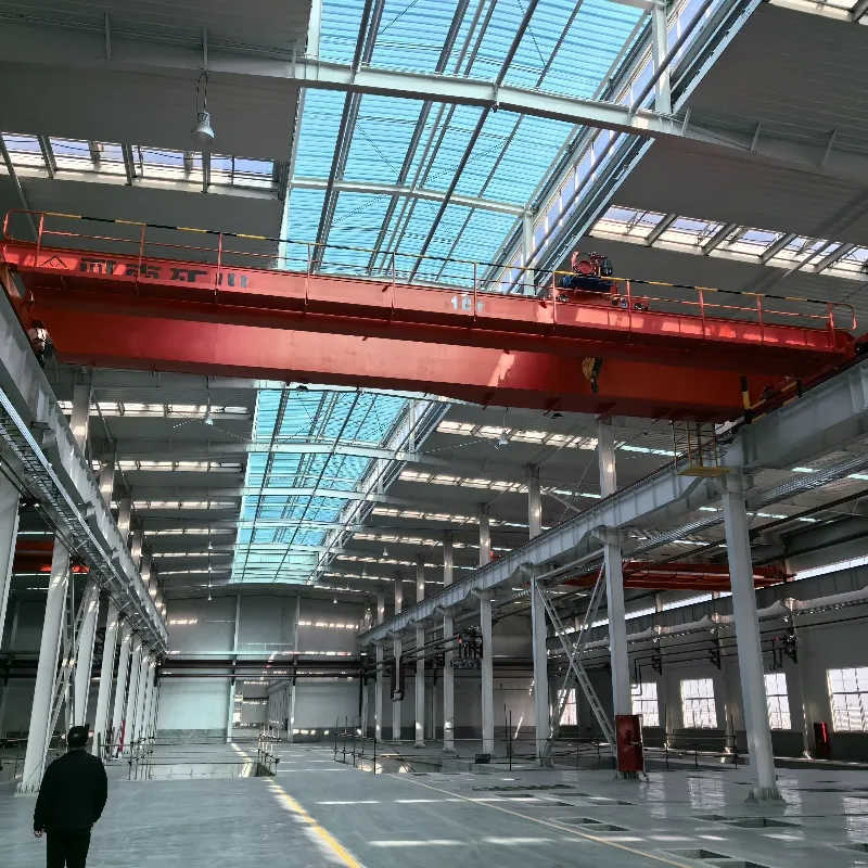 Double Girder Overhead Crane for Indoor Lifting