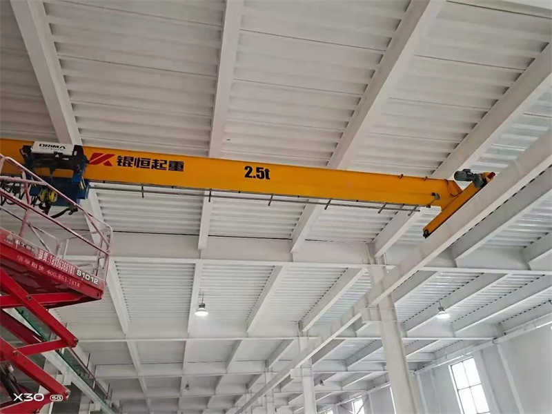 Electric Wire Rope Hoist Equipped Single Girder Crane with Custom Options