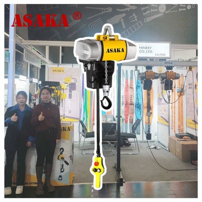 China Factory 0.125 Ton 220V Lifting Equipment Electric Chain Hoist Price