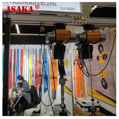 China Factory 0.125 Ton 220V Lifting Equipment Electric Chain Hoist Price