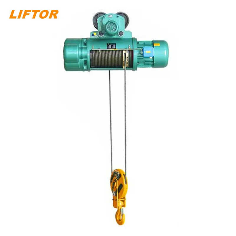 Dpc 1000kg 1 Ton Lift Height 9 Meter Electric Wire Rope Lifting Hoist