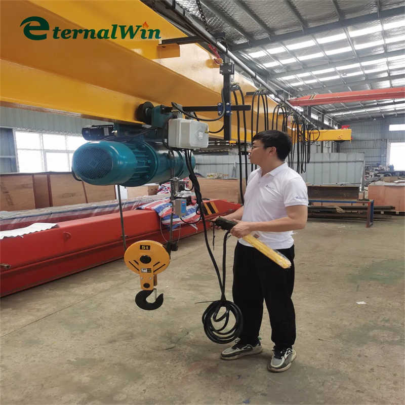 5ton Single Girder Overhead Crane Lifting Equipment for Manufacturing Plant