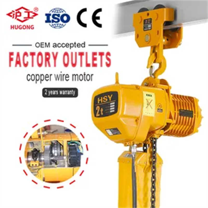 Electric Chain Hoist with Forged Hook 220V Hoist (HSY) Capacity 5tons