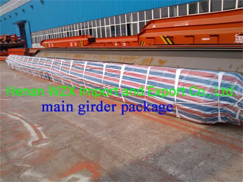 Load Capacity 10t Span 12m Lifting Height 9m Single Girder Overhead Crane